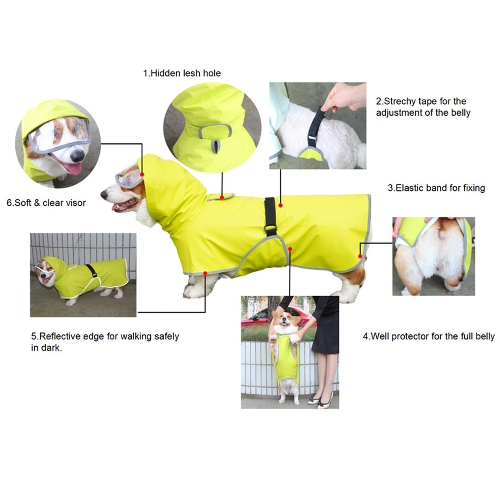 Hunderegenmantel, Verstellbarer, Transparenter Hunde-Regenmantel Mit Kapuze, Glatter Regenumhang, Leichte Welpen-Regenausrüstung, Outdoor-Kleidung Mit Leine