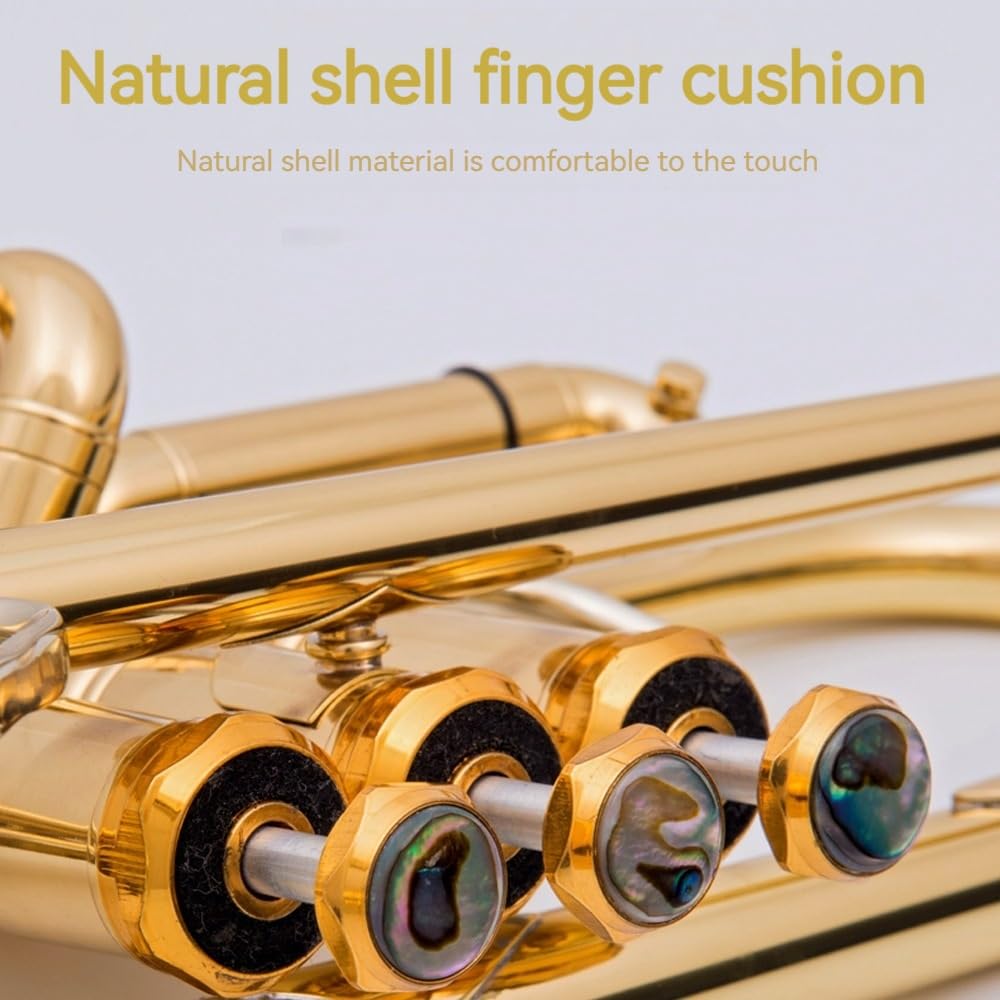 Trompeta de tres tonos en si bemol, cuerpo de tubo dorado pintado, llave dorada, prensa de concha natural, material de latón for instrumentos, pistón de acero blanco, adecuado for principiantes y prof