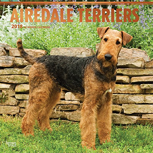 Airedale Terriers 2018 - 18-Monatskalender mit freier DogDays-App: Original BrownTrout-Kalender [Meh Airedale Terriers 2018 - 18-Monatskalender mit freier DogDays-App: Original BrownTrout-Kalender [Meh