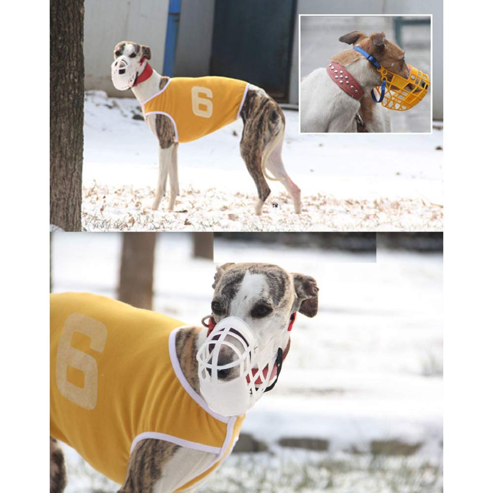 Why Do Greyhound Dogs Wear Muzzles