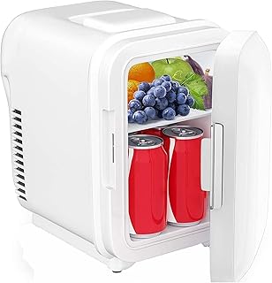 Mini réfrigérateur voiture réfrigérateur électrique et chaud mini réfrigérateur 4 litres / 6 mini réfrigérateur pour voiture et maison pour voyager et camping