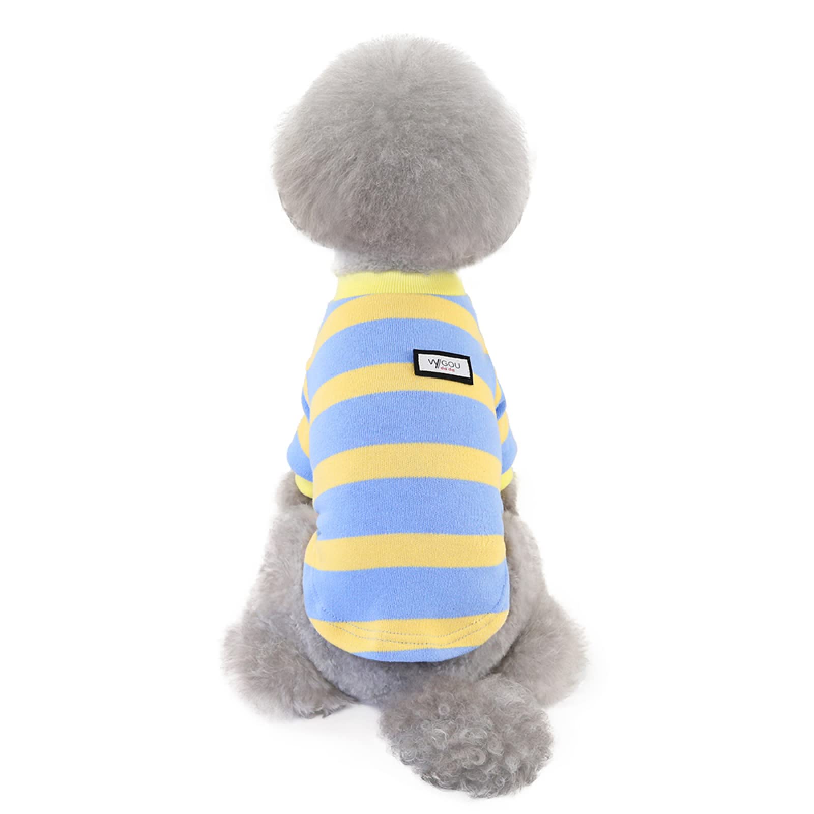 Pull rayé petit chien pour protéger votre animal du froid