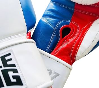 Amazon.co.jp: PRIZE RING/プライズリングボクシンググローブ Amazon.co.jp: PRIZE RING/プライズリングボクシンググローブ