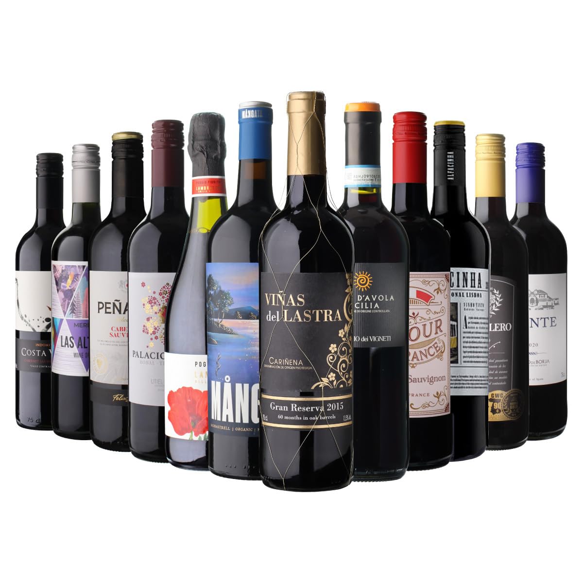 Amazon.co.jp: ワインセット ワイン プレミアム 赤だけ特選ワイン12本