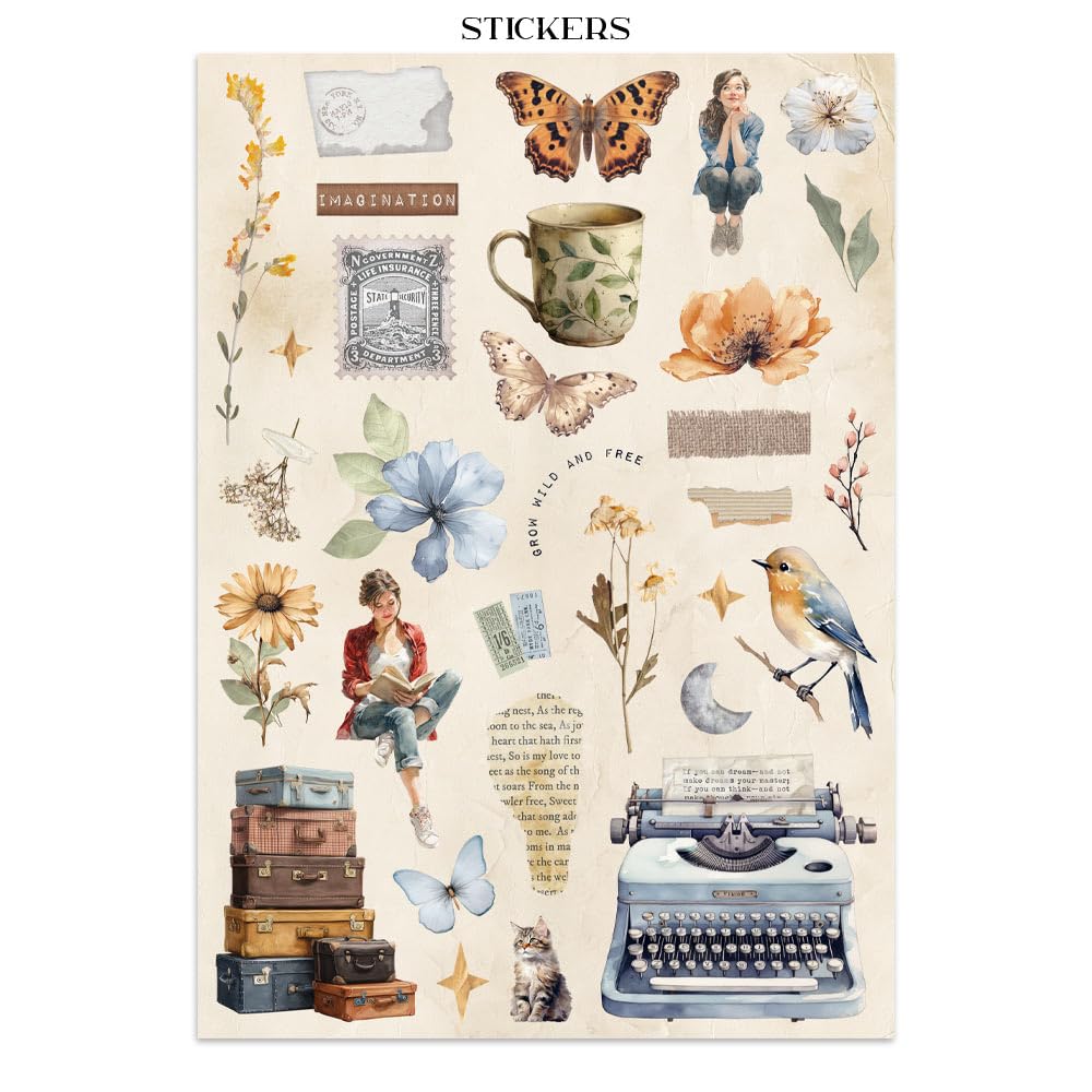 View 5