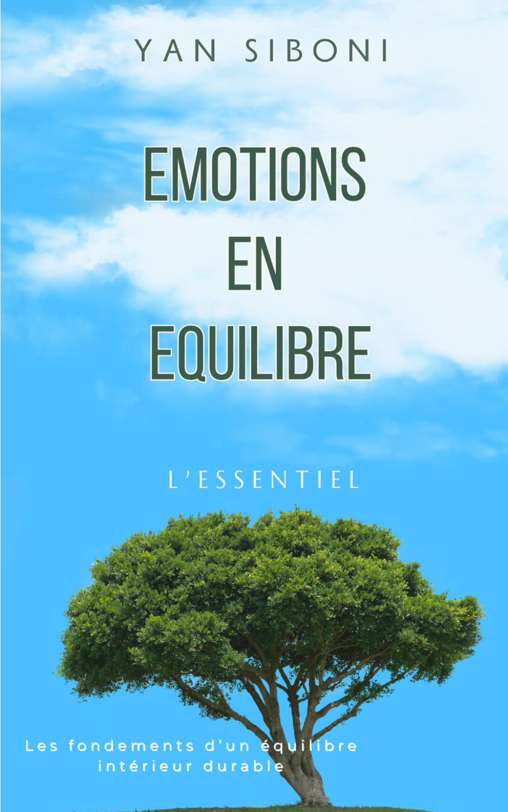 Emotions en Equilibre: Comprendre et retrouver un équilibre intérieur stable