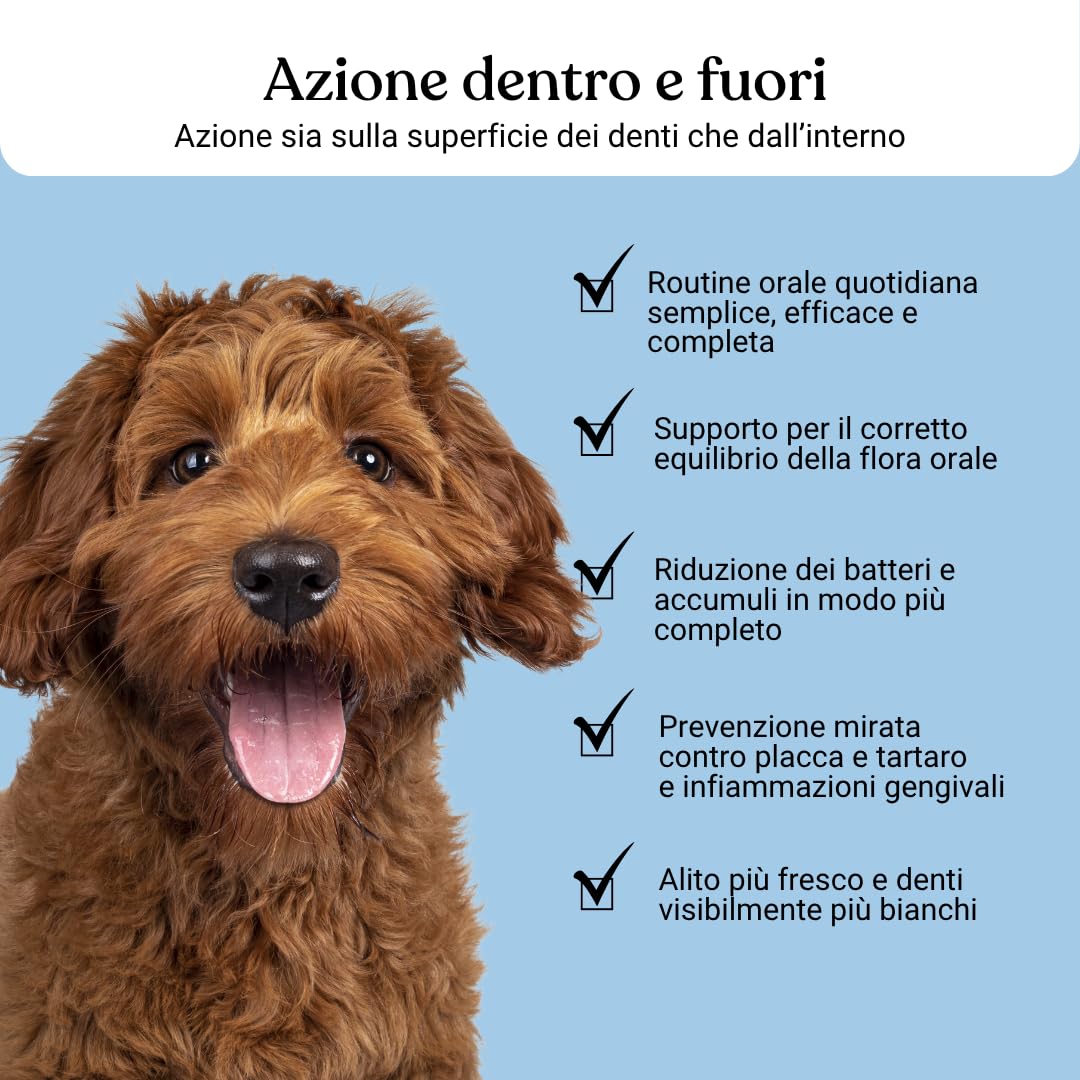 Bàu Kit Igiene Orale Cane Completo – Polvere Antiplacca con Ascophyllum Nodosum + Dentifricio Spray – Rimuove Tartaro, Alito Fresco, Denti e Gengive Sane Senza Spazzolino