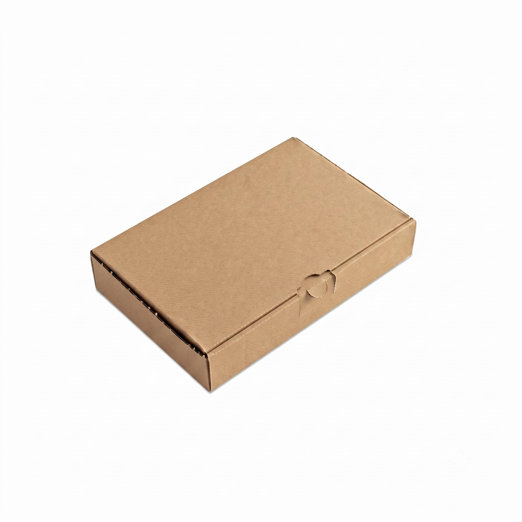 Maxibriefkarton braun 240 x 160 x 45 mm Faltkarton aus Wellpappe Versandkarton für kleine Sendungen bis 2 kg (200)