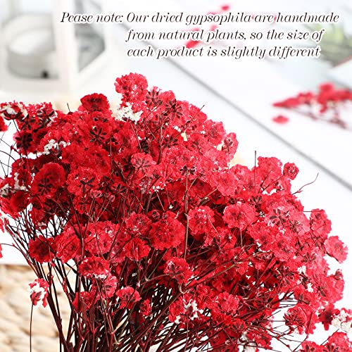 Flores secas rojas mini gypsophila 100 piezas para decoración miniatura 3