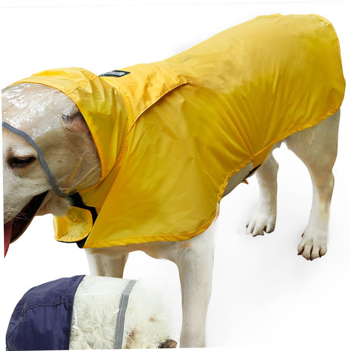 Manteaux de Pluie imperméables pour Chien, imperméable pour Chien, 2 pièces, Gilet réfléchissant à Capuche pour Chien, Gilets réfléchissants, Manteaux de Pluie