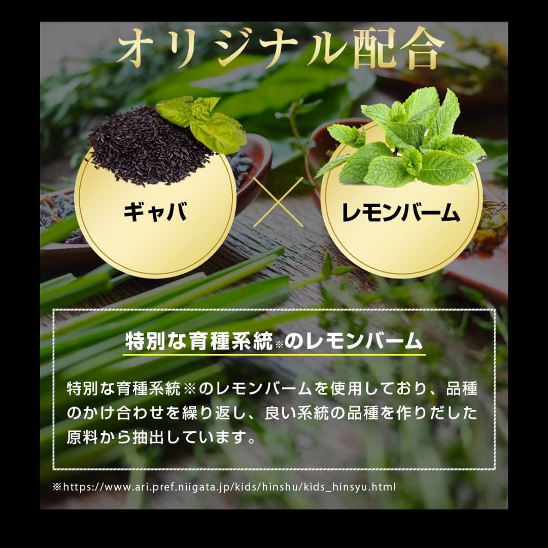 Amazon.co.jp: GABA ブルーネス ギャバ 疲労 集中力 ストレス 機能性