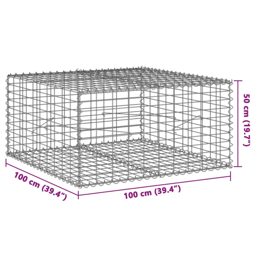 Gavión con tapa, 100 x 100 x 50 cm, cesta de piedra, hierro galvanizado | Cesta de piedra resistente para jardín para proteger las pendientes, como protección visual o borde de jardín en exteriores.