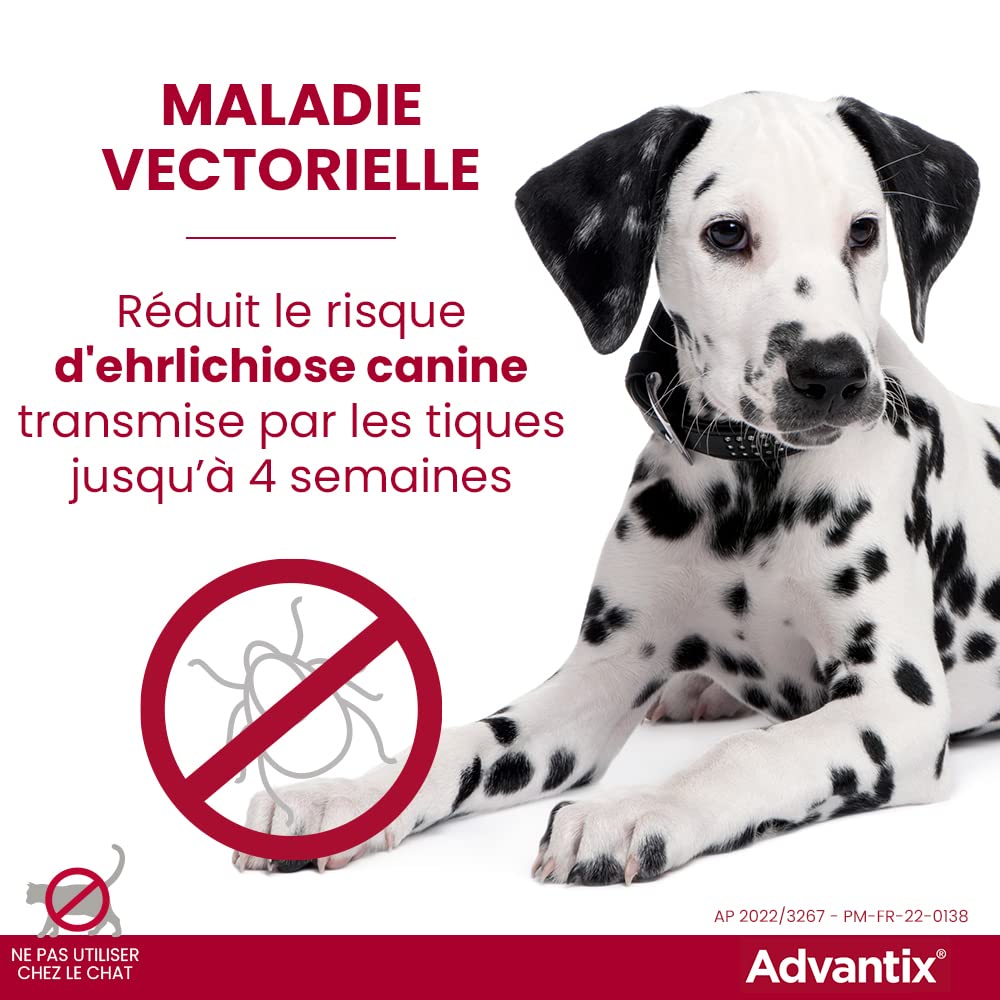 Advantix Mały pies o wadze od 4 do 10 kg – pipety dla 6 pasożytów – pipeta dla stałej ochrony przez 4 tygodnie – 6 x 1,0 ml