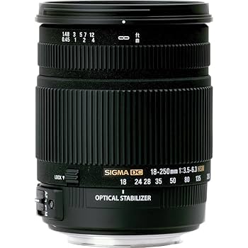 【望遠レンズ】SIGMA 18-250mm 1:3.5-6.3 HSM Amazon.co.jp: シグマ 18-250mm F3.5-6.3 DC OS HSM SO ソニー用