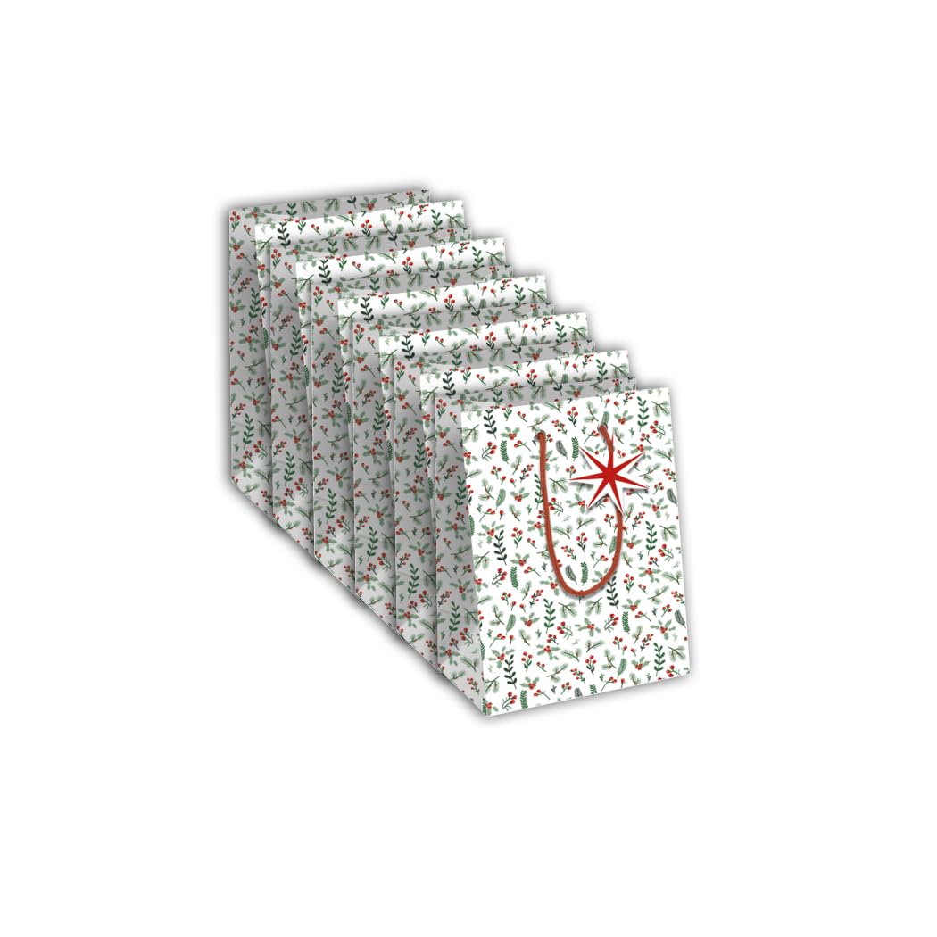Clairefontaine X-32820-3Cpack, A Pack of 6 White Kraft Gift Bags- Medium Size, 21,5x10,2x25,3cm, 210g