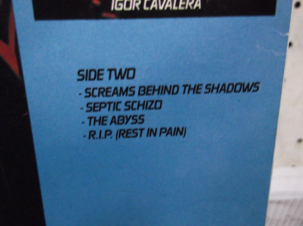 Schizophrenia Lp Vinilo Importado
