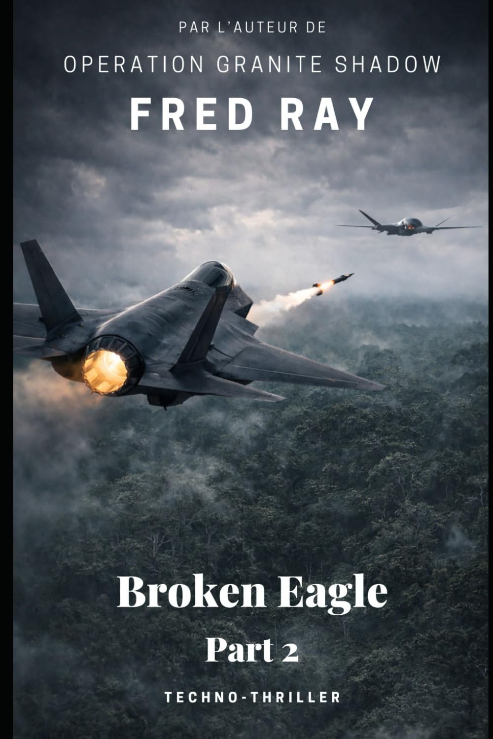 Broken Eagle: part 2
