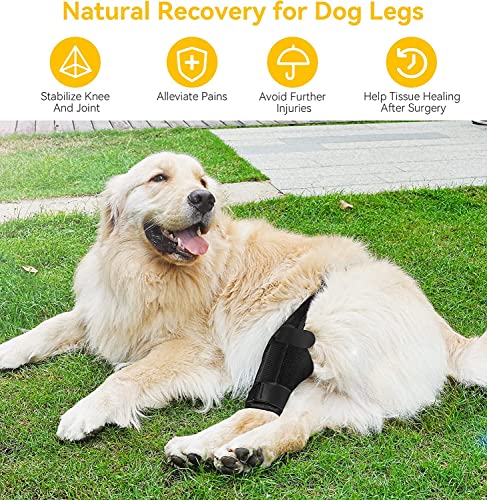Image of basajaun Dog Knee Brace for Dog ACL Brace Front Leg or Rear Leg, CCL Brace Hind Leg (S)