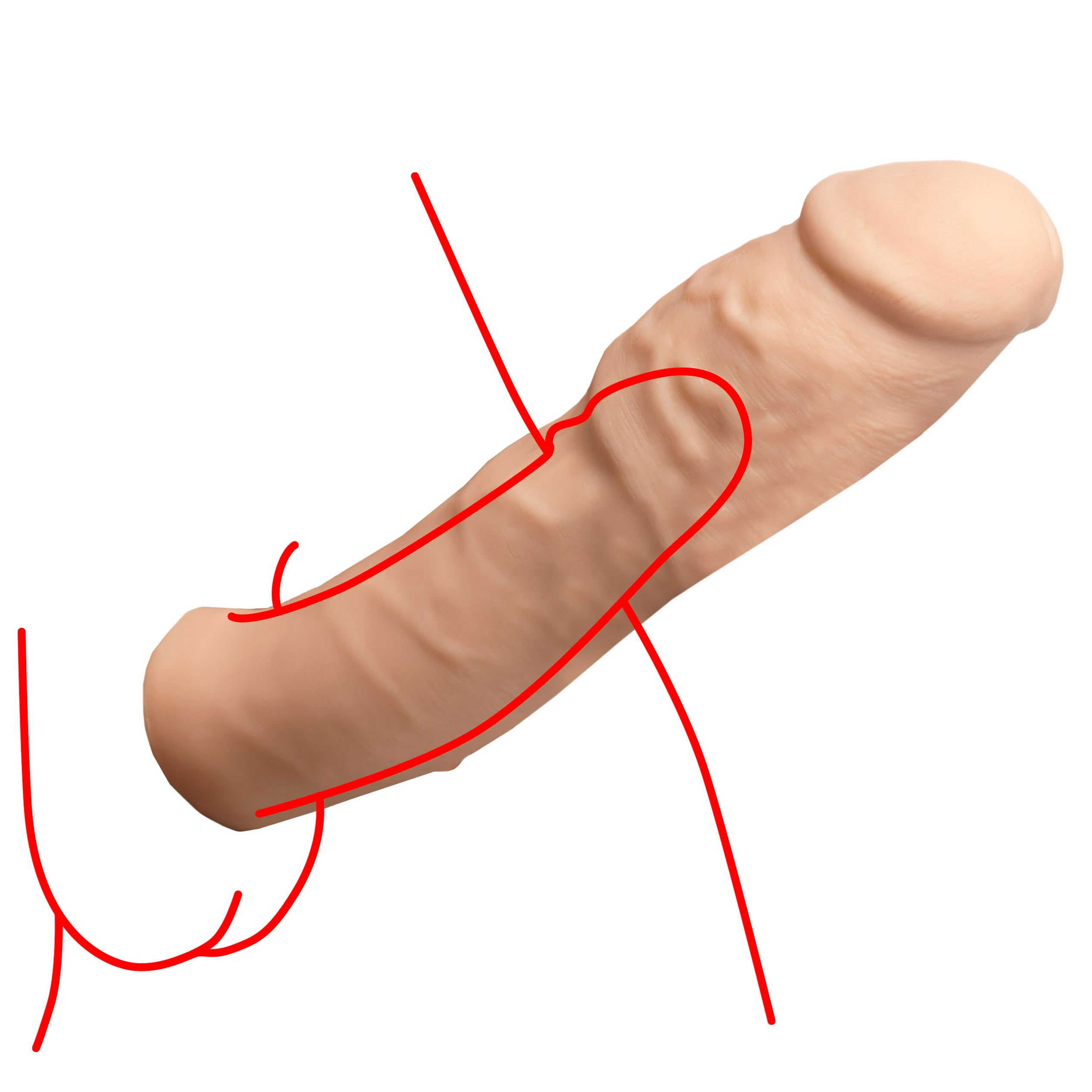 Amazon.com: Jock - Funda de extensión de pene extra gruesa de 2 pulgadas  para hombres y parejas. Añade longitud y circunferencia. Sensación realista  con funda texturizada, suave y cómodo, longitud personalizada. :