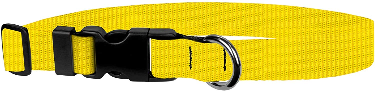 Dog Collar - Colored Adjustable Pet Collars, 3/4 Inch Wide, Small, Yellow