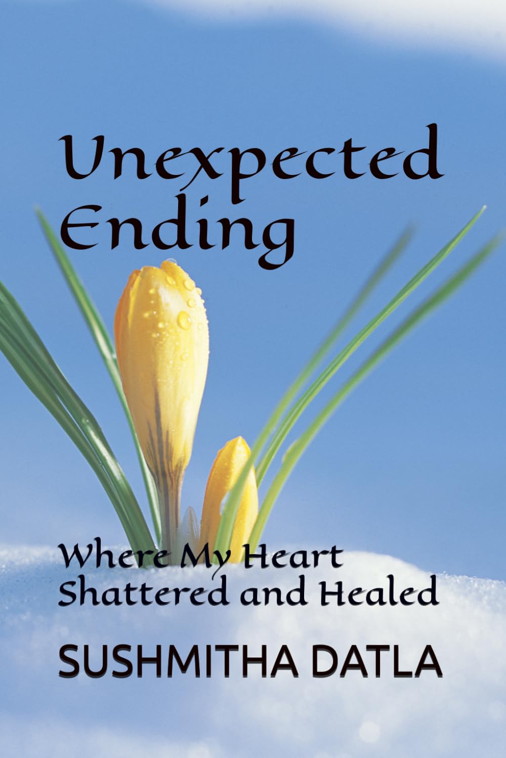 Unexpected Ending: Where My Heart Shattered and Healed