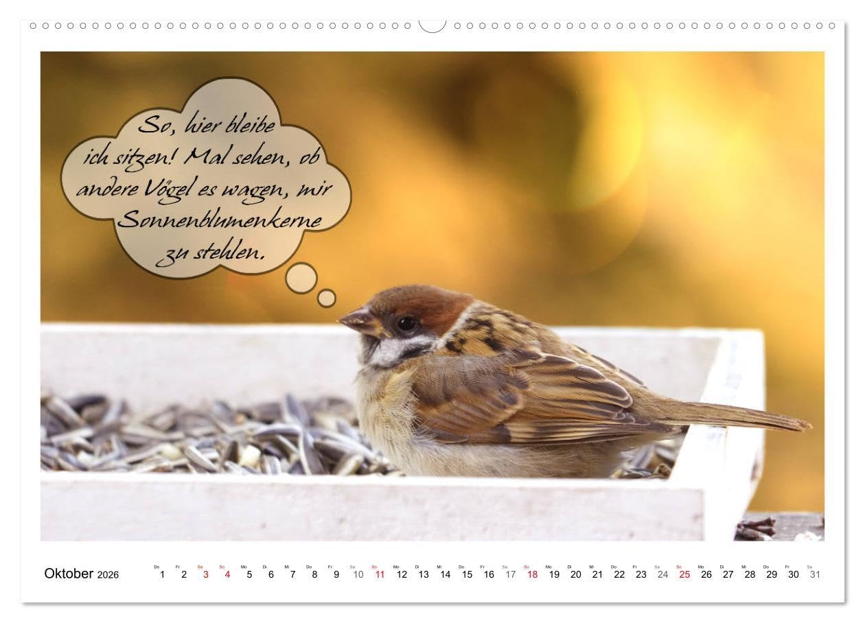 Vögel mit Humor (hochwertiger Premium Wandkalender 2026 DIN A2 quer), Kunstdruck in Hochglanz: Lustige Sprüche aus frechen Schnäbeln (CALVENDO Spass)