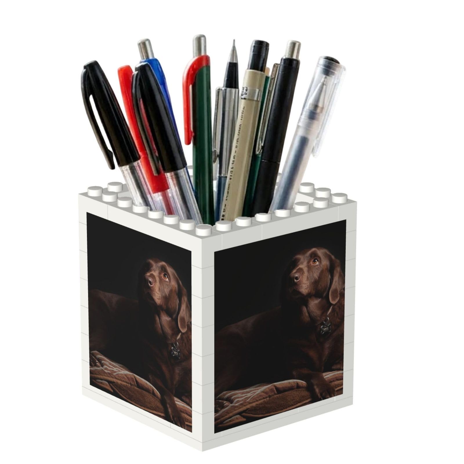 Poadnly Brown Labrador Retriever Printed, Pen Pot Pencil Holder for Office Home School, Compact Desk Organiser for Office Stationery