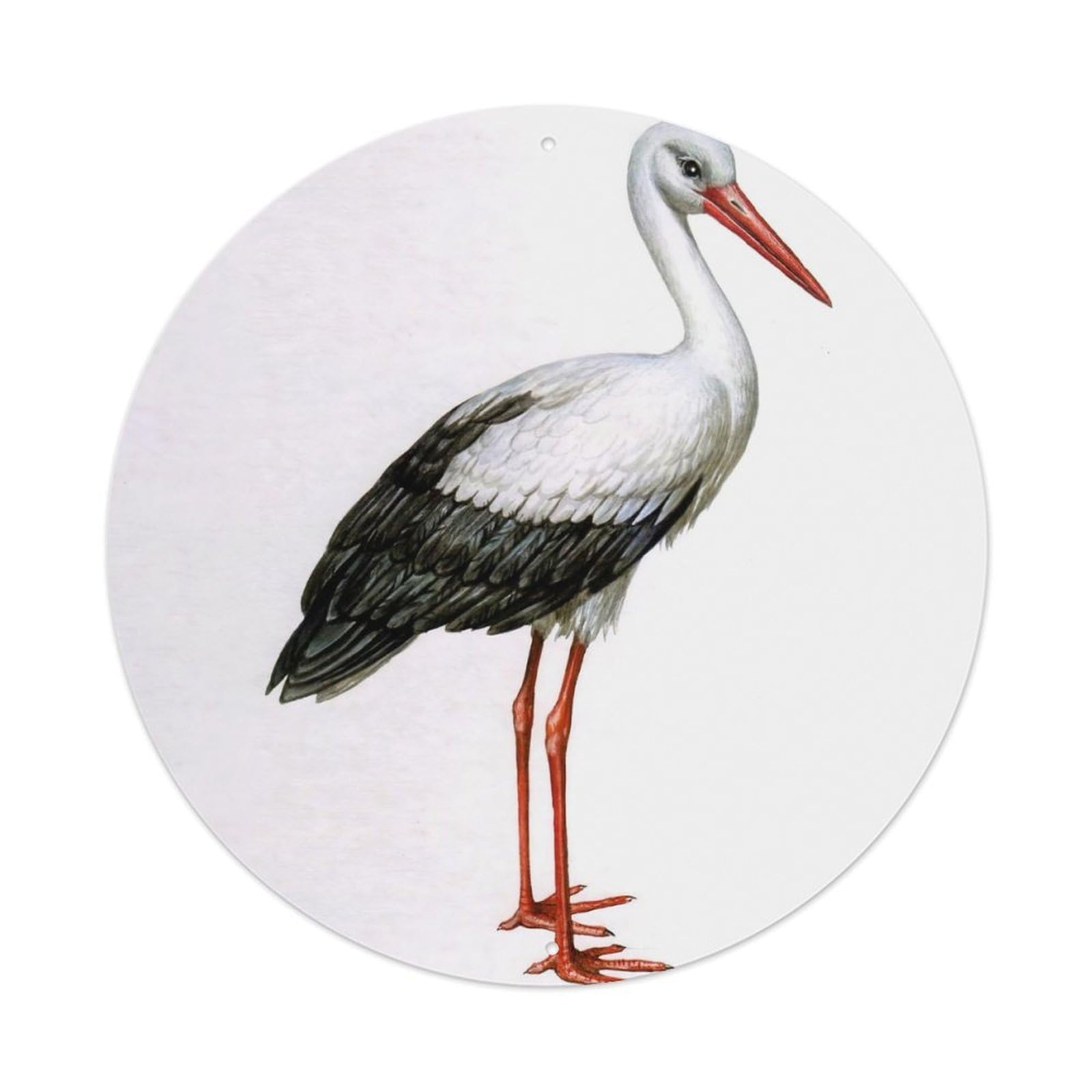 Animal Birds Artwork Black-tailed Stork Vintage Metal Tin Sign Plaque Wall Decor for Cafe, Club Bar, Office, Garden Metal Poster 8x8Inch