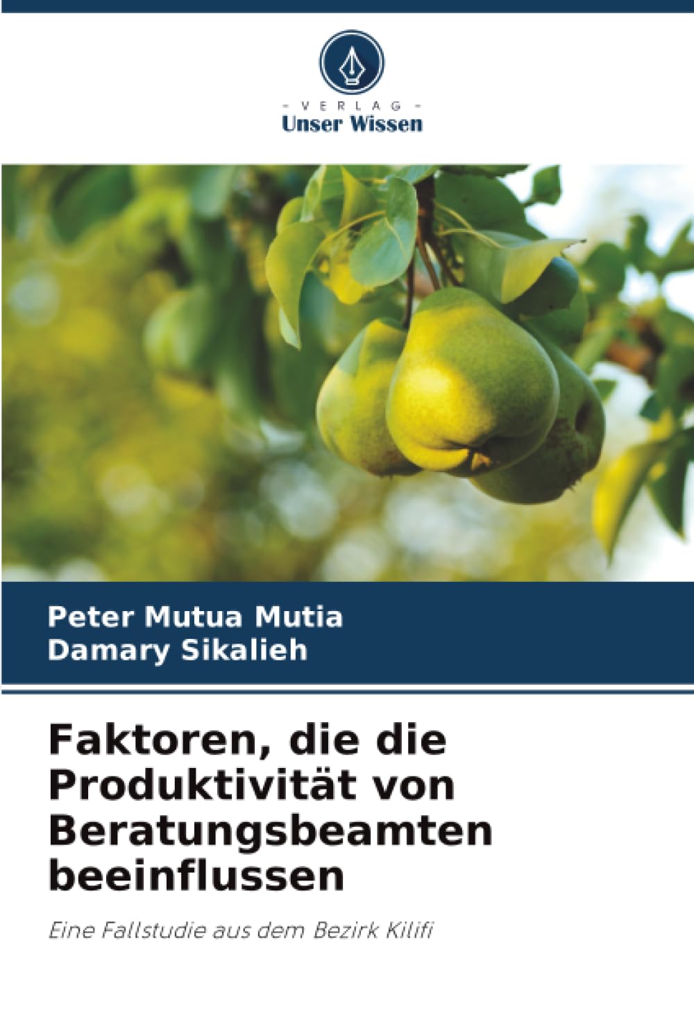 Faktoren, die die Produktivität von Beratungsbeamten beeinflussen: Eine Fallstudie aus dem Bezirk Kilifi