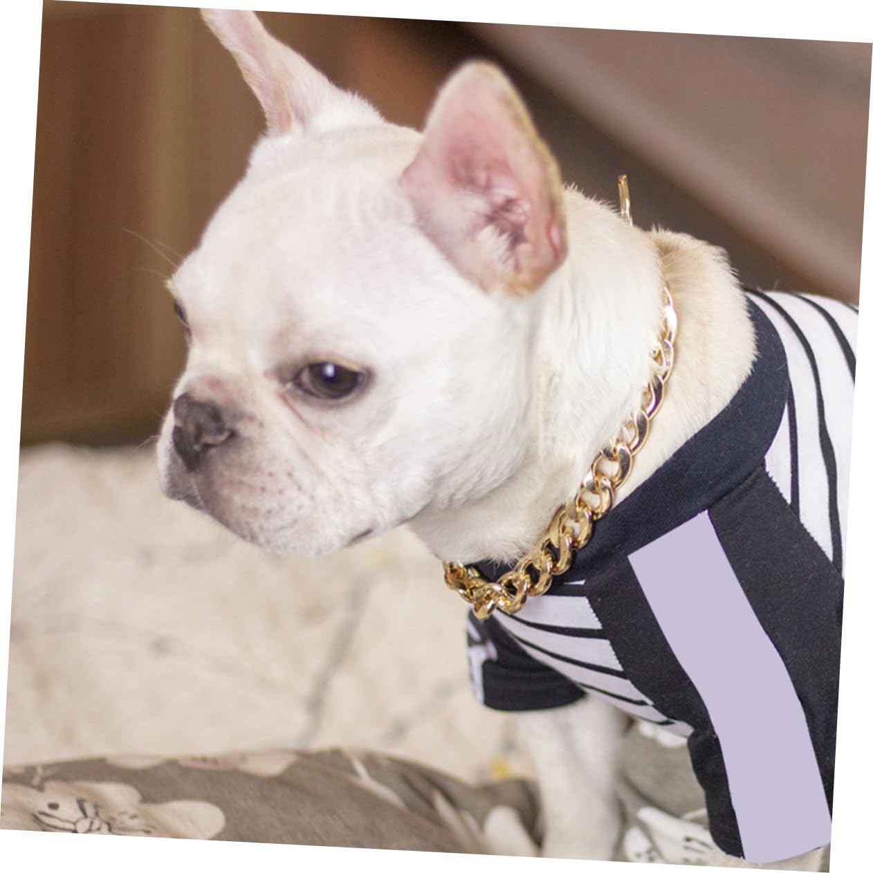 ibasenice Pet Golden Chain Necklace for Dogs Stylish Summer Accessory Comfortable Fit for Parties and Photos Durable Design for Pets Neck Up