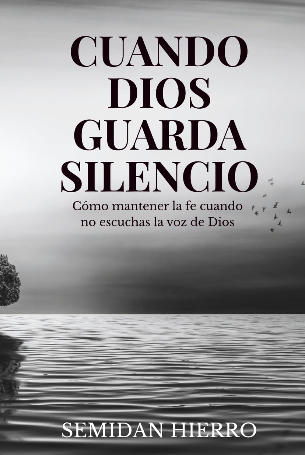Cuando Dios guarda silencio: Cómo mantener la fe cuando no escuchas la voz de Dios