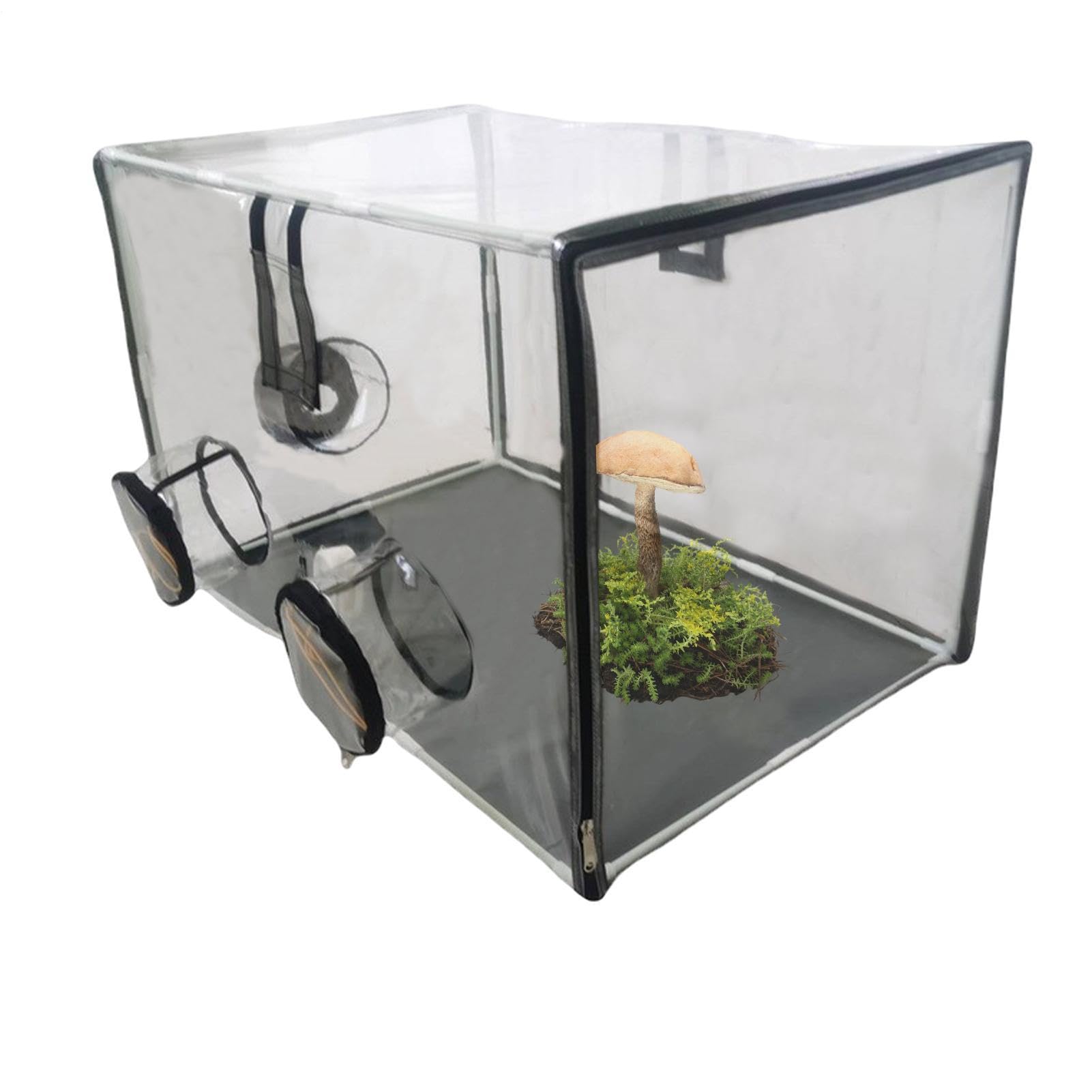 Grünes Haus Klare PVC-Abdeckung, wasserdicht, tragbar, Gewächshaus,31