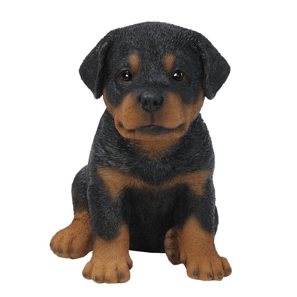 Pet Pals Rottweiler Puppy Ornament