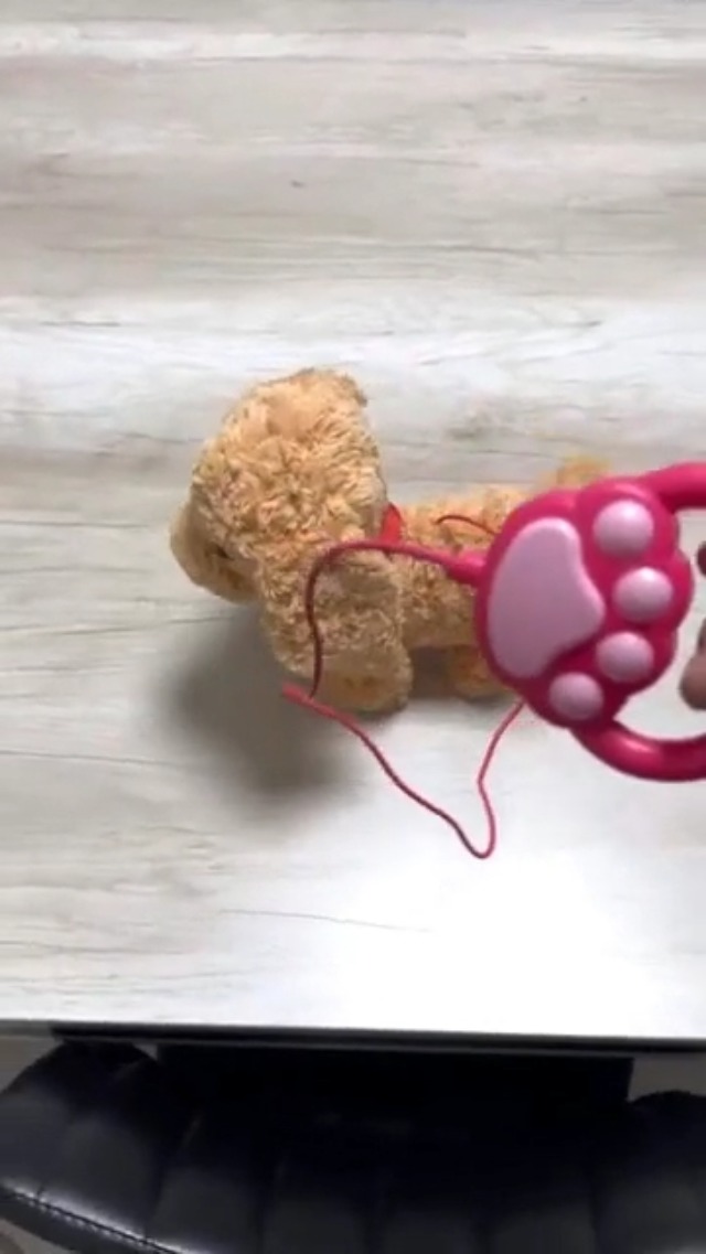 Ze wilde afscheid nemen van haar hond vóór een gevaarlijke operatie. Maar plotseling begon de