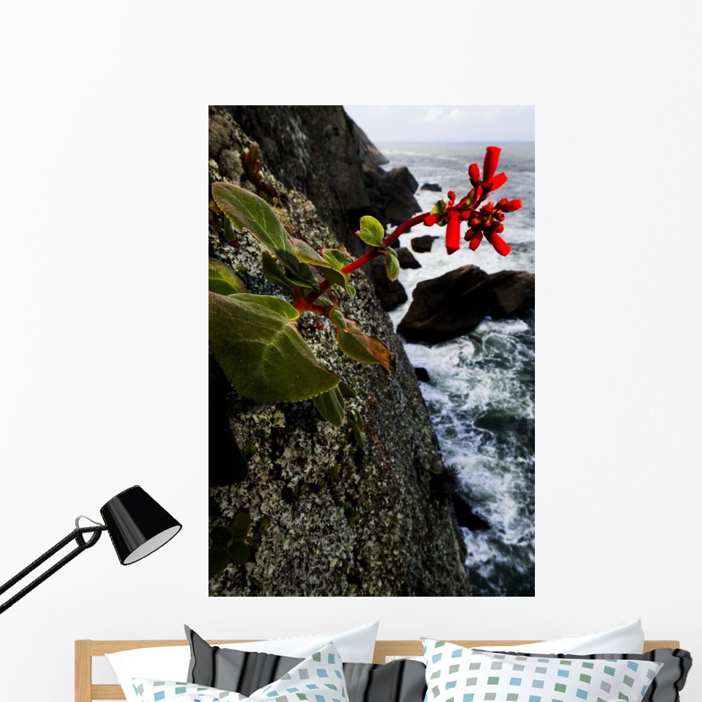 Red Flowers Granite Cliffs Wall Mural by Wallmonkeys Peel and Stick Graphic (48 in H x 32 in W) WM215171