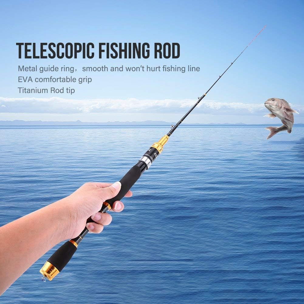 Canna da Pesca Telescopica in Fibra di Carbonio per Acqua Dolce, Canna da Pesca Retrattile da Viaggio con Accessori, Leggera e Compatta per Escursioni