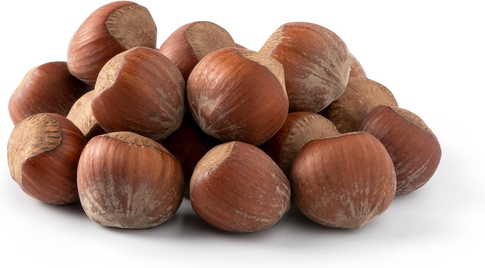 NUTS U.S. - Oregon Hazelnuts In shell | Whole, Raw and Unsalted | No Added Flavor and NON-GMO | Fresh Buttery Taste and Easy to Crack | Natural Unshelled Hazelnuts Packed in Resealable Bags!!! (6 LBS)