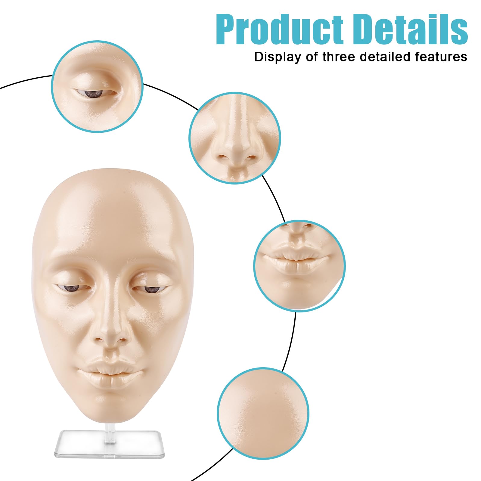 Viso di esercizio per il trucco: testa di esercizio riutilizzabile con supporto, estensione delle ciglia, trucco, per tutto il viso di pittura naturale