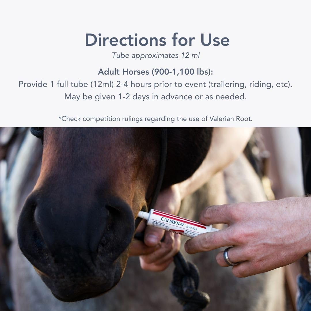 Calmex-V Paste (6-Pack) for Balanced Behavior in Horses.