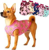 Roupa para Cachorro Roupas de Cachorros Roupinha Pet Cães Gato Soft Frio Inverno (Femea, Tamanho 2)