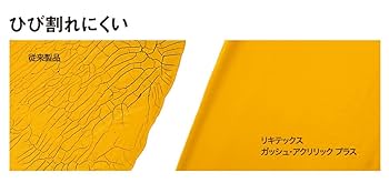 リキテックス　ベーシックカラー24色 Amazon | リキテックス アクリル絵具 リキテックスカラー ソフト
