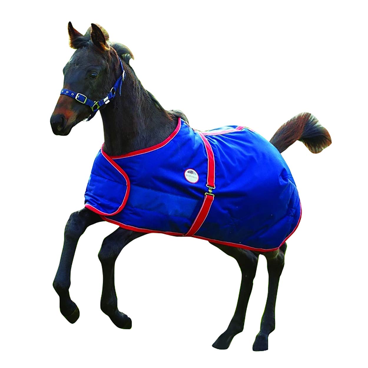 Weatherbeeta 1200d Fohlen Standard Hals Pferdedecke (95cm) (Marineblau/Rot/Weiß)
