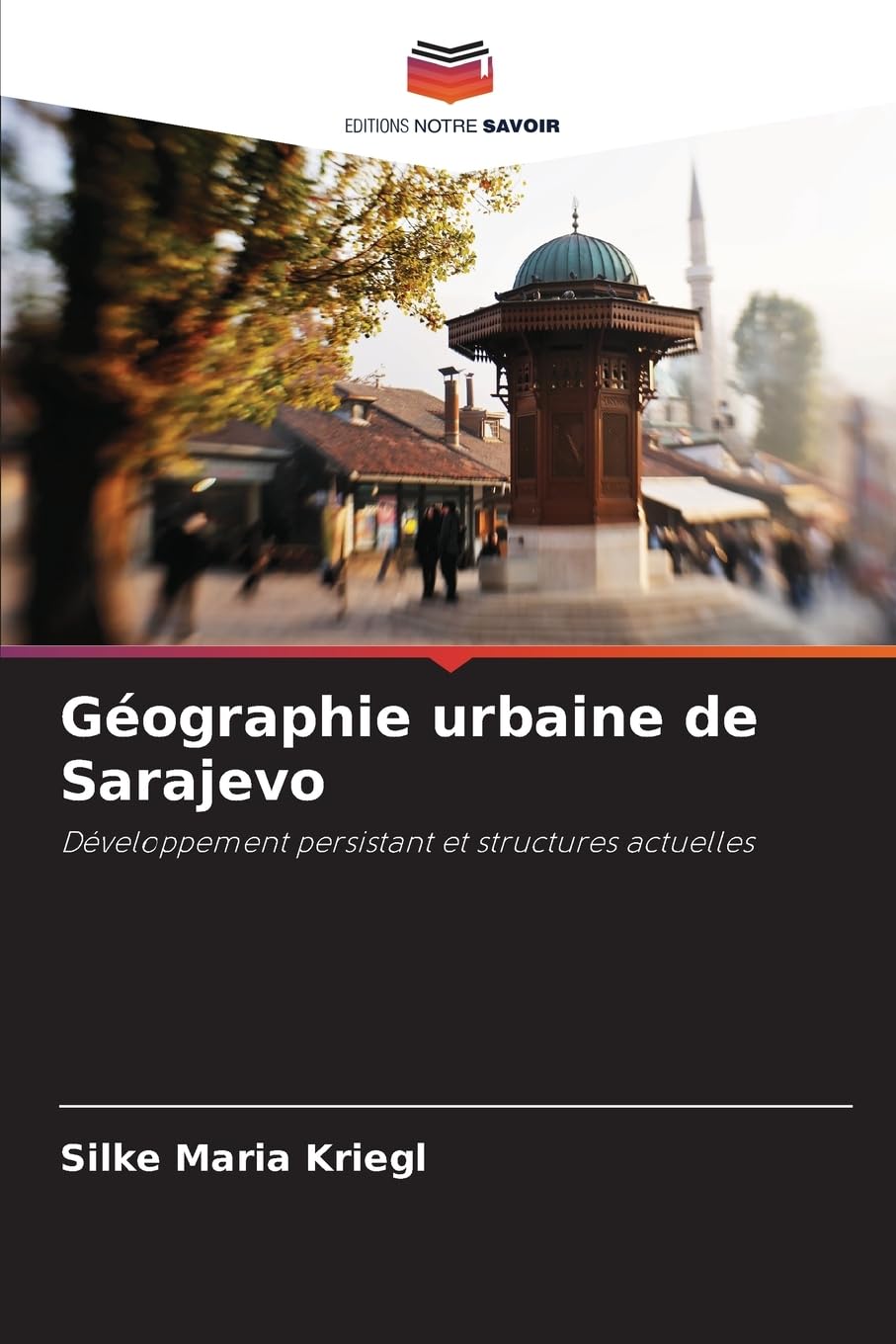 Géographie urbaine de Sarajevo: Développement persistant et structures actuelles