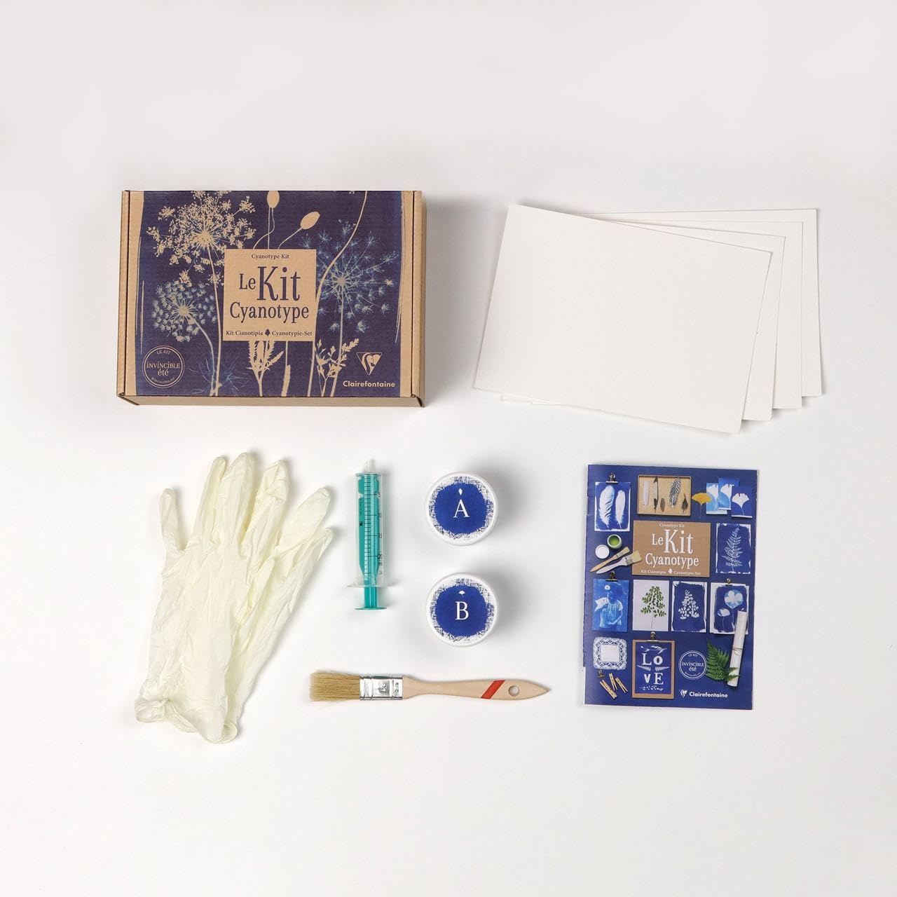 Clairefontaine 97719C Kit Cyanotype - 10 Feuilles de Papier Cyanotype A5 - Kit d'Impression Solaire - Technique photographique - Papier d'impression Soleil A5 - Loisirs Créatifs - Travaux Manuels
