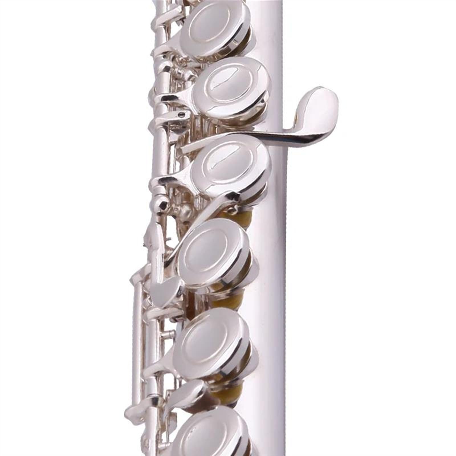 Professionale Flauto Traverso Giunti a testa curva Divisi 16 tasti Foro chiuso C TuneFlute Corpo in cupronichel Chiavi in ​​nichel argento Flauto con custodia