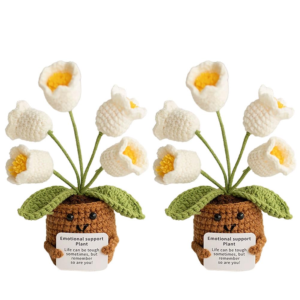 RARITYLL 2-Pack Crochet Flower Bouquet,Knitted Flowers,Gift Set including Flower Bouquet