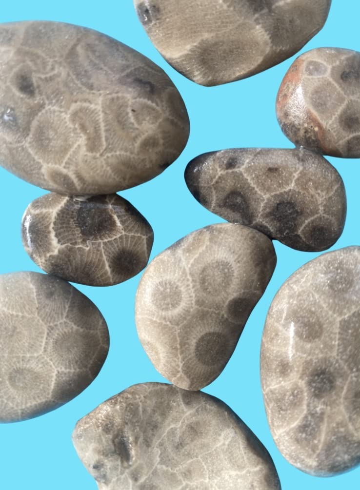 Generic 5-Piece Fossil Stone Set: Light Brown, Irregular Shaped, Coral Beads