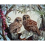 DIY Oil Painting Paint by Numbers Kit with Brushes Paint for Adults Beginner Hand Paintwork Owl...