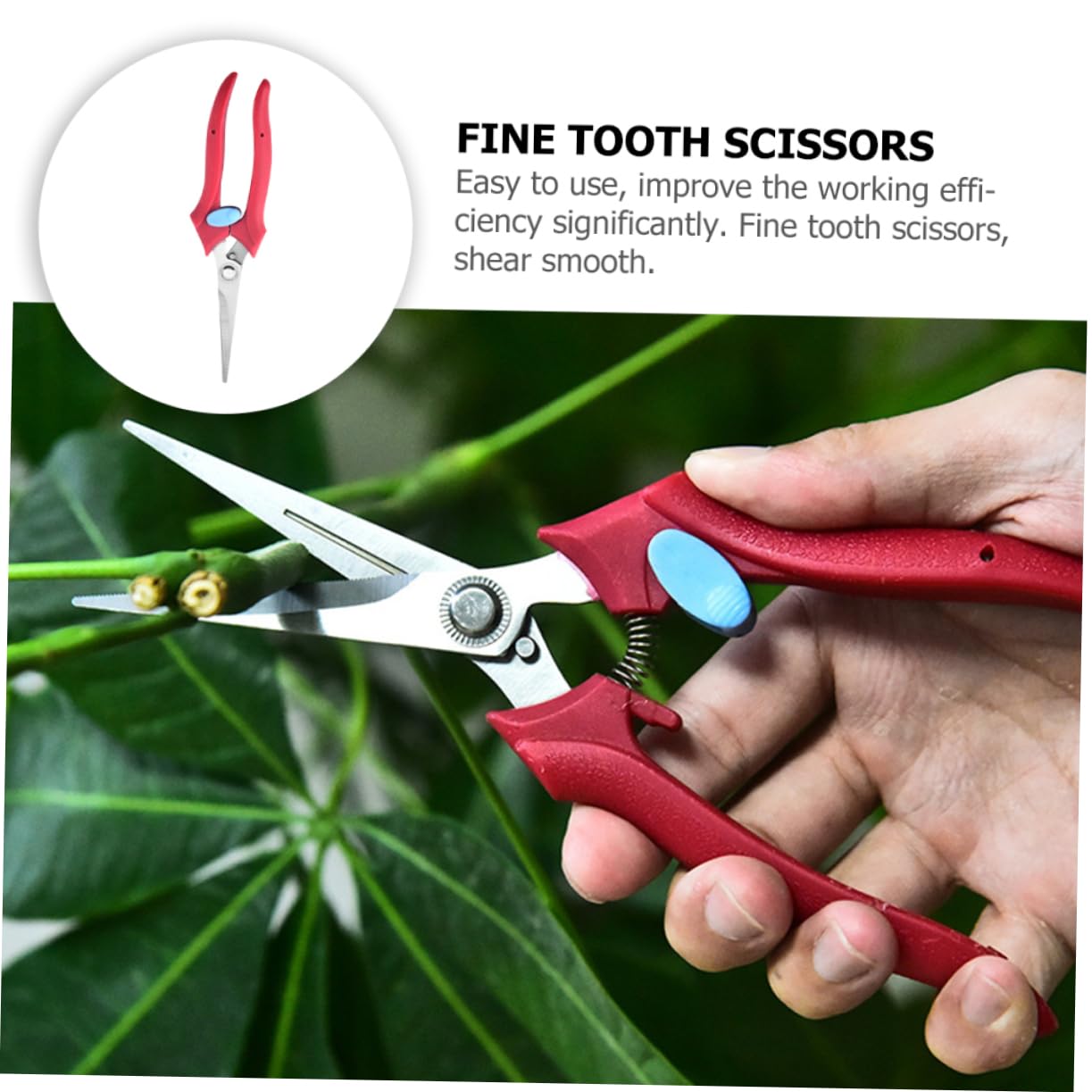 BESPORTBLE 3piezas Tijeras De Jardinería Ergonomicas Para Recoger Frutas y Hortalizas Podadora De Ramas Para Uso Profesional Herramienta De Corte Precisa Para Plantas y Árboles