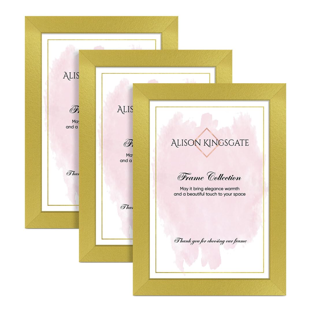 Alison Kingsgate 16X14 Gold Modern Photo Frames Pack of 3 - Engineered Wood Picture Frame with Perspex Front - Ideal for Certificates - Wall Mount or Tabletop - Multiple Sizes & Colors — image 1